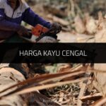 √ Harga Kayu Cengal di Pasaran Malaysia Terkini 2024 Harga Kayu Cengal