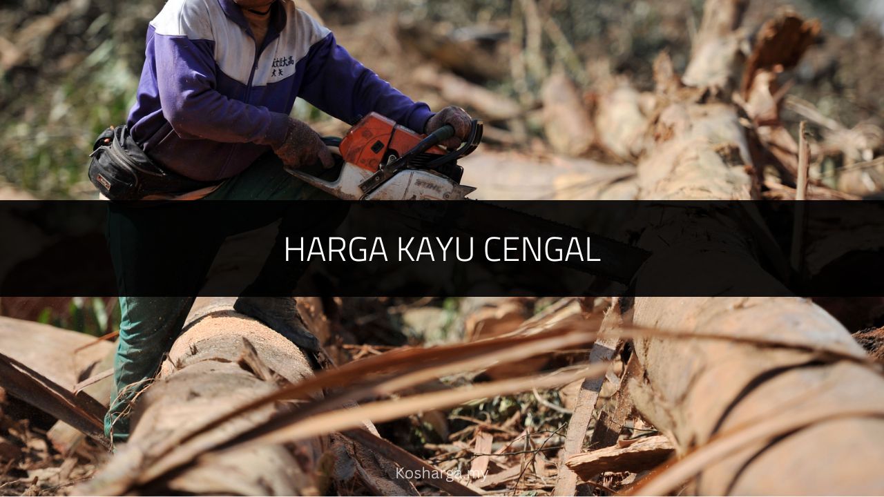 Harga Kayu Cengal