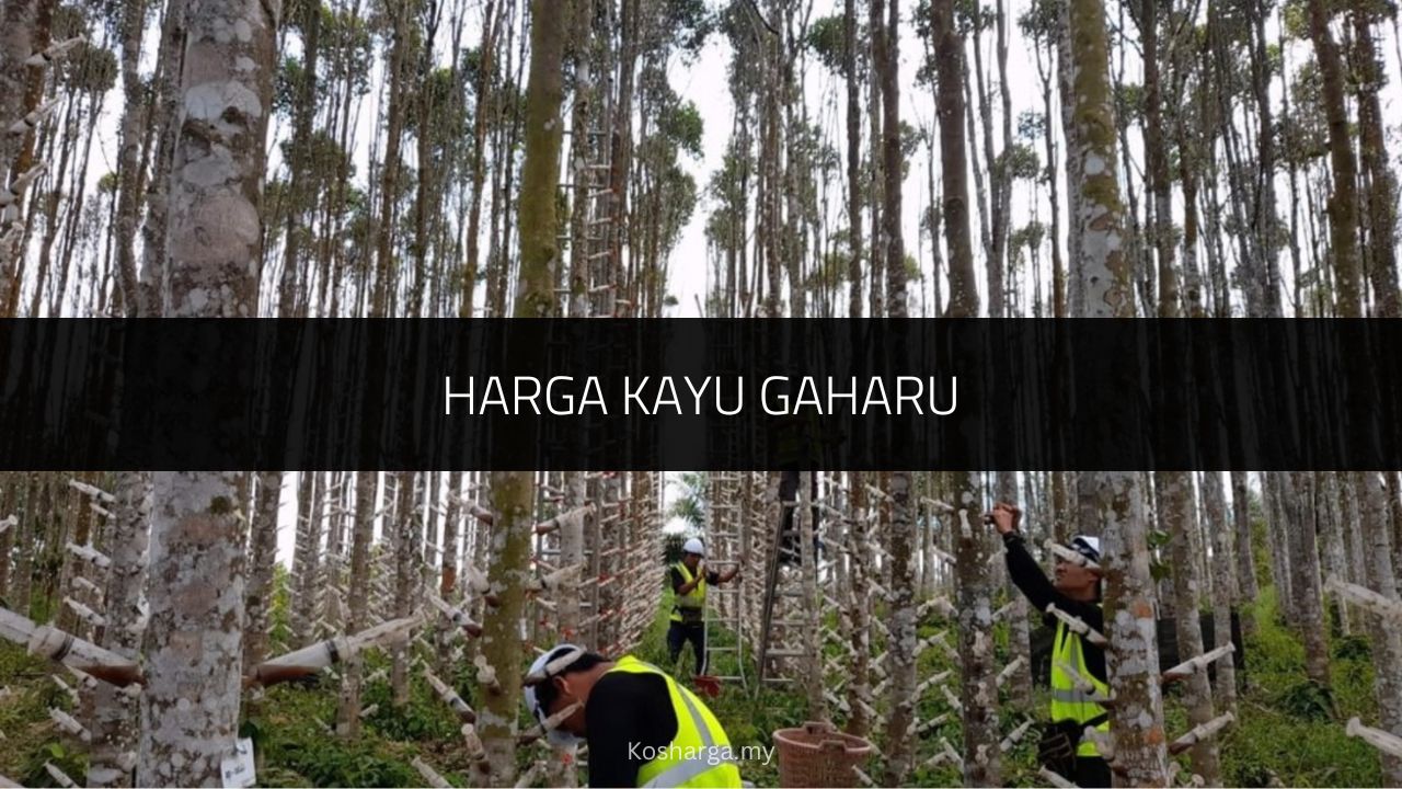 Harga Kayu Gaharu