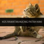Kos Rawatan Kucing Patah Kaki